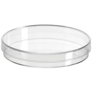پتری دیش (پلیت) 10 cm بینوک